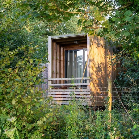 Serene Forest Escape Tatil Evi *