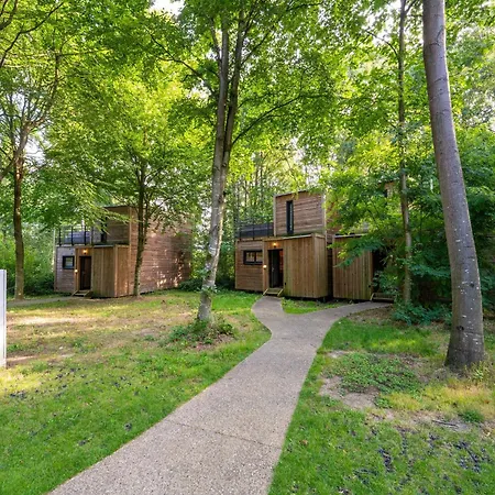 Serene Forest Escape Antoing