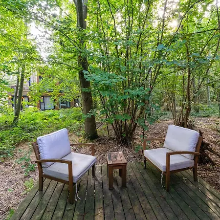 Serene Forest Escape *